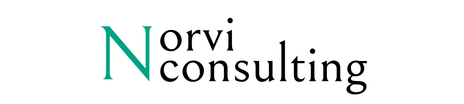 NorviConsulting